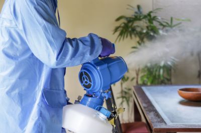 Commercial Fumigation in Wilmington, DE