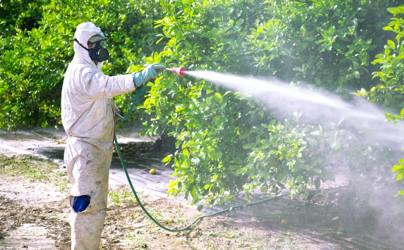 Commercial Fumigation in Cumming, GA