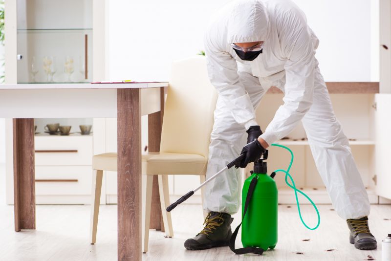 Pest Control Service detail