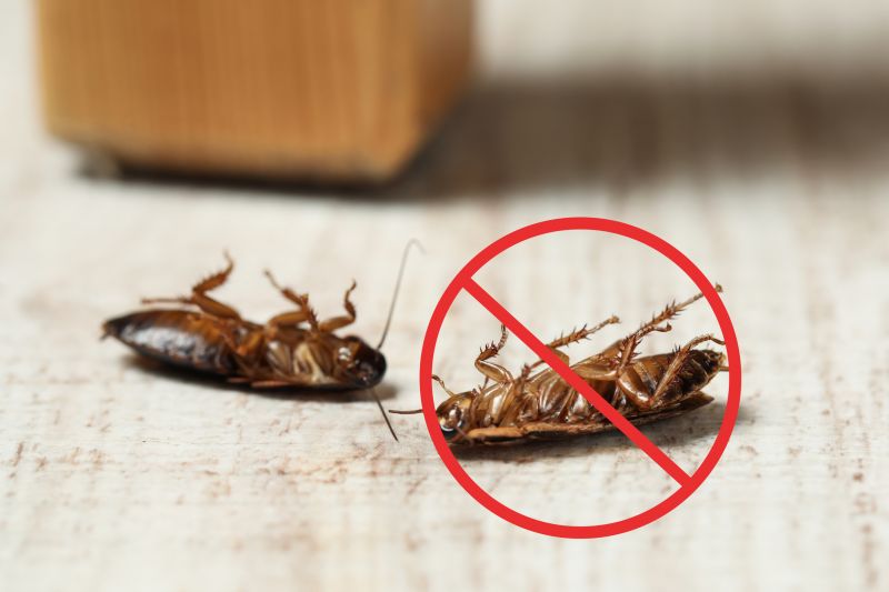 Roach Extermination detail