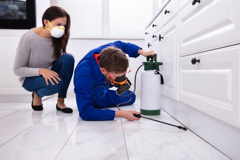 Mites Extermination in Frisco, TX