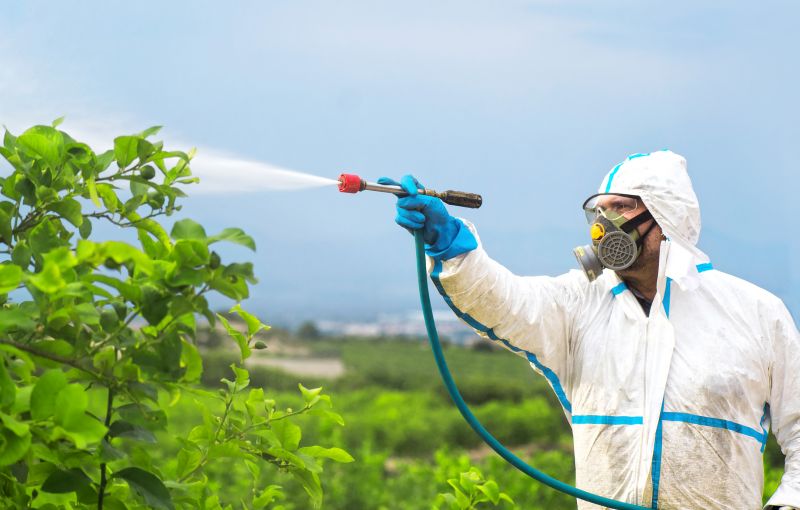 Roach Fumigation in Kalamazoo, MI