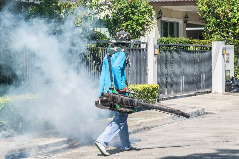 Roach Fumigation in Naperville, IL