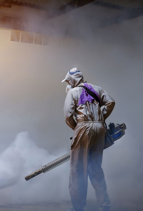 Spider Fumigation Service in Santa Fe, NM