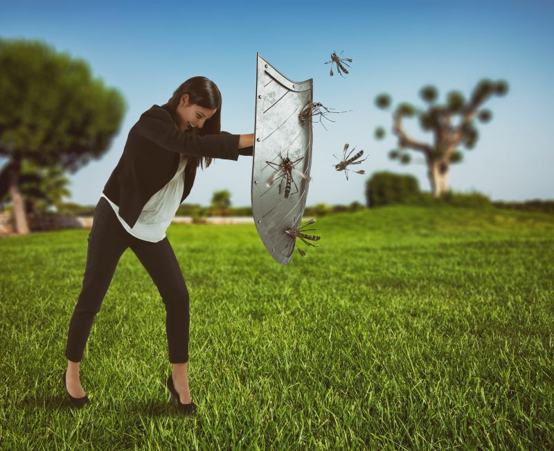 Long-lasting mosquito population reduction